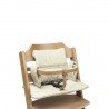COJIN DE TRONA 29x27x8 CM ME-GINGKO MULTICOLOUR